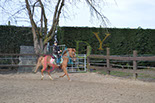 Badyhoeve is een terrein dat tot 3kinderen en hun pony's met de hond Djackson behoort.