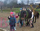 Badyhoeve is een terrein dat tot 3kinderen en hun pony's met de hond Djackson behoort.