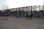 Badyhoeve is een terrein dat tot 3kinderen en hun pony's met de hond Djackson behoort.