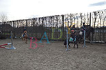 Badyhoeve is een terrein dat tot 3kinderen en hun pony's met de hond Djackson behoort.