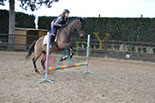 Badyhoeve is een terrein dat tot 3kinderen en hun pony's met de hond Djackson behoort.