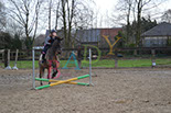 Badyhoeve is een terrein dat tot 3kinderen en hun pony's met de hond Djackson behoort.