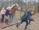 Badyhoeve is een terrein dat tot 3kinderen en hun pony's met de hond Djackson behoort.