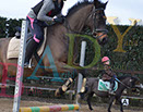 Badyhoeve is een terrein dat tot 3kinderen en hun pony's met de hond Djackson behoort.