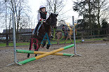 Badyhoeve is een terrein dat tot 3kinderen en hun pony's met de hond Djackson behoort.