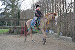Badyhoeve is een terrein dat tot 3kinderen en hun pony's met de hond Djackson behoort.