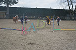 Badyhoeve is een terrein dat tot 3kinderen en hun pony's met de hond Djackson behoort.