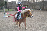 Badyhoeve is een terrein dat tot 3kinderen en hun pony's met de hond Djackson behoort.