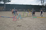 Badyhoeve is een terrein dat tot 3kinderen en hun pony's met de hond Djackson behoort.
