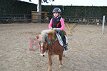 Badyhoeve is een terrein dat tot 3kinderen en hun pony's met de hond Djackson behoort.