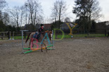 Badyhoeve is een terrein dat tot 3kinderen en hun pony's met de hond Djackson behoort.