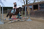 Badyhoeve is een terrein dat tot 3kinderen en hun pony's met de hond Djackson behoort.