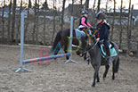 Badyhoeve is een terrein dat tot 3kinderen en hun pony's met de hond Djackson behoort.