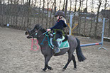 Badyhoeve is een terrein dat tot 3kinderen en hun pony's met de hond Djackson behoort.