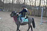 Badyhoeve is een terrein dat tot 3kinderen en hun pony's met de hond Djackson behoort.