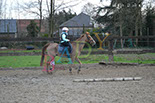 Badyhoeve is een terrein dat tot 3kinderen en hun pony's met de hond Djackson behoort.