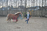 Badyhoeve is een terrein dat tot 3kinderen en hun pony's met de hond Djackson behoort.