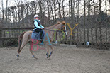 Badyhoeve is een terrein dat tot 3kinderen en hun pony's met de hond Djackson behoort.