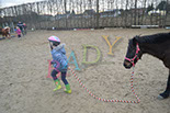 Badyhoeve is een terrein dat tot 3kinderen en hun pony's met de hond Djackson behoort.
