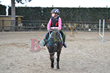 Badyhoeve is een terrein dat tot 3kinderen en hun pony's met de hond Djackson behoort.