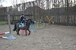 Badyhoeve is een terrein dat tot 3kinderen en hun pony's met de hond Djackson behoort.