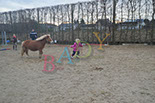 Badyhoeve is een terrein dat tot 3kinderen en hun pony's met de hond Djackson behoort.