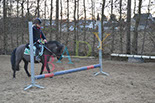 Badyhoeve is een terrein dat tot 3kinderen en hun pony's met de hond Djackson behoort.