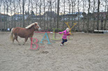 Badyhoeve is een terrein dat tot 3kinderen en hun pony's met de hond Djackson behoort.