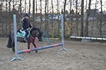 Badyhoeve is een terrein dat tot 3kinderen en hun pony's met de hond Djackson behoort.