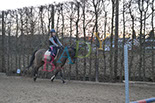 Badyhoeve is een terrein dat tot 3kinderen en hun pony's met de hond Djackson behoort.