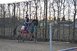 Badyhoeve is een terrein dat tot 3kinderen en hun pony's met de hond Djackson behoort.