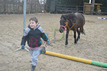 Badyhoeve is een terrein dat tot 3kinderen en hun pony's met de hond Djackson behoort.