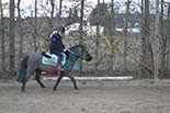 Badyhoeve is een terrein dat tot 3kinderen en hun pony's met de hond Djackson behoort.