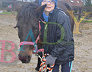 Badyhoeve is een terrein dat tot 3kinderen en hun pony's met de hond Djackson behoort.