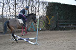 Badyhoeve is een terrein dat tot 3kinderen en hun pony's met de hond Djackson behoort.