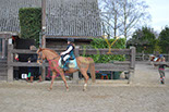 Badyhoeve is een terrein dat tot 3kinderen en hun pony's met de hond Djackson behoort.