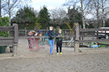 Badyhoeve is een terrein dat tot 3kinderen en hun pony's met de hond Djackson behoort.
