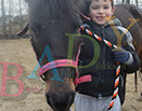 Badyhoeve is een terrein dat tot 3kinderen en hun pony's met de hond Djackson behoort.