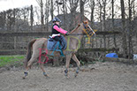 Badyhoeve is een terrein dat tot 3kinderen en hun pony's met de hond Djackson behoort.