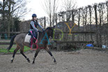 Badyhoeve is een terrein dat tot 3kinderen en hun pony's met de hond Djackson behoort.
