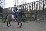 Badyhoeve is een terrein dat tot 3kinderen en hun pony's met de hond Djackson behoort.