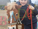 Badyhoeve is een terrein dat tot 3kinderen en hun pony's met de hond Djackson behoort.