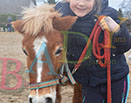 Badyhoeve is een terrein dat tot 3kinderen en hun pony's met de hond Djackson behoort.