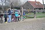 Badyhoeve is een terrein dat tot 3kinderen en hun pony's met de hond Djackson behoort.