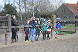 Badyhoeve is een terrein dat tot 3kinderen en hun pony's met de hond Djackson behoort.