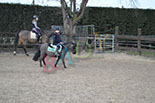 Badyhoeve is een terrein dat tot 3kinderen en hun pony's met de hond Djackson behoort.