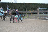 Badyhoeve is een terrein dat tot 3kinderen en hun pony's met de hond Djackson behoort.