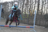 Badyhoeve is een terrein dat tot 3kinderen en hun pony's met de hond Djackson behoort.