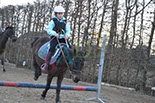Badyhoeve is een terrein dat tot 3kinderen en hun pony's met de hond Djackson behoort.