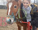 Badyhoeve is een terrein dat tot 3kinderen en hun pony's met de hond Djackson behoort.